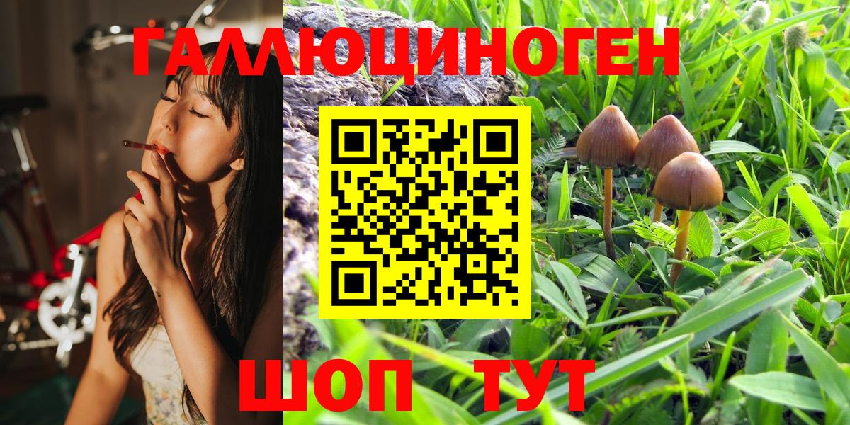 Псилоцибиновые грибы GOLDEN TEACHER Янаул